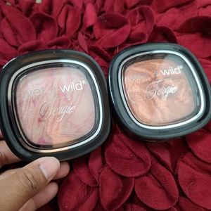 LE Wet n Wild Fergie highlight and bronzer